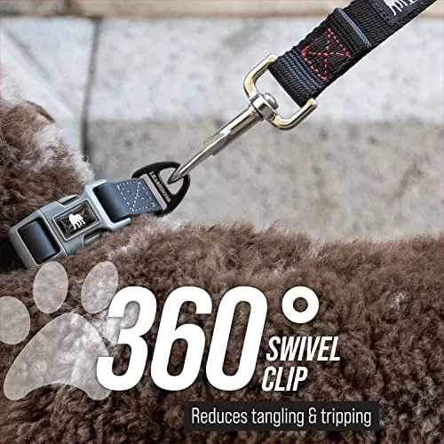 12 Inch Padded Handle Short Dog Leash with Reflective Webbing and O-Ring