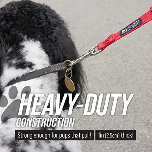 12 Inch Padded Handle Short Dog Leash with Reflective Webbing and O-Ring