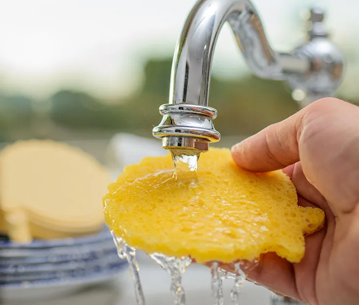 Biodegradable Sponges- 12 Pack