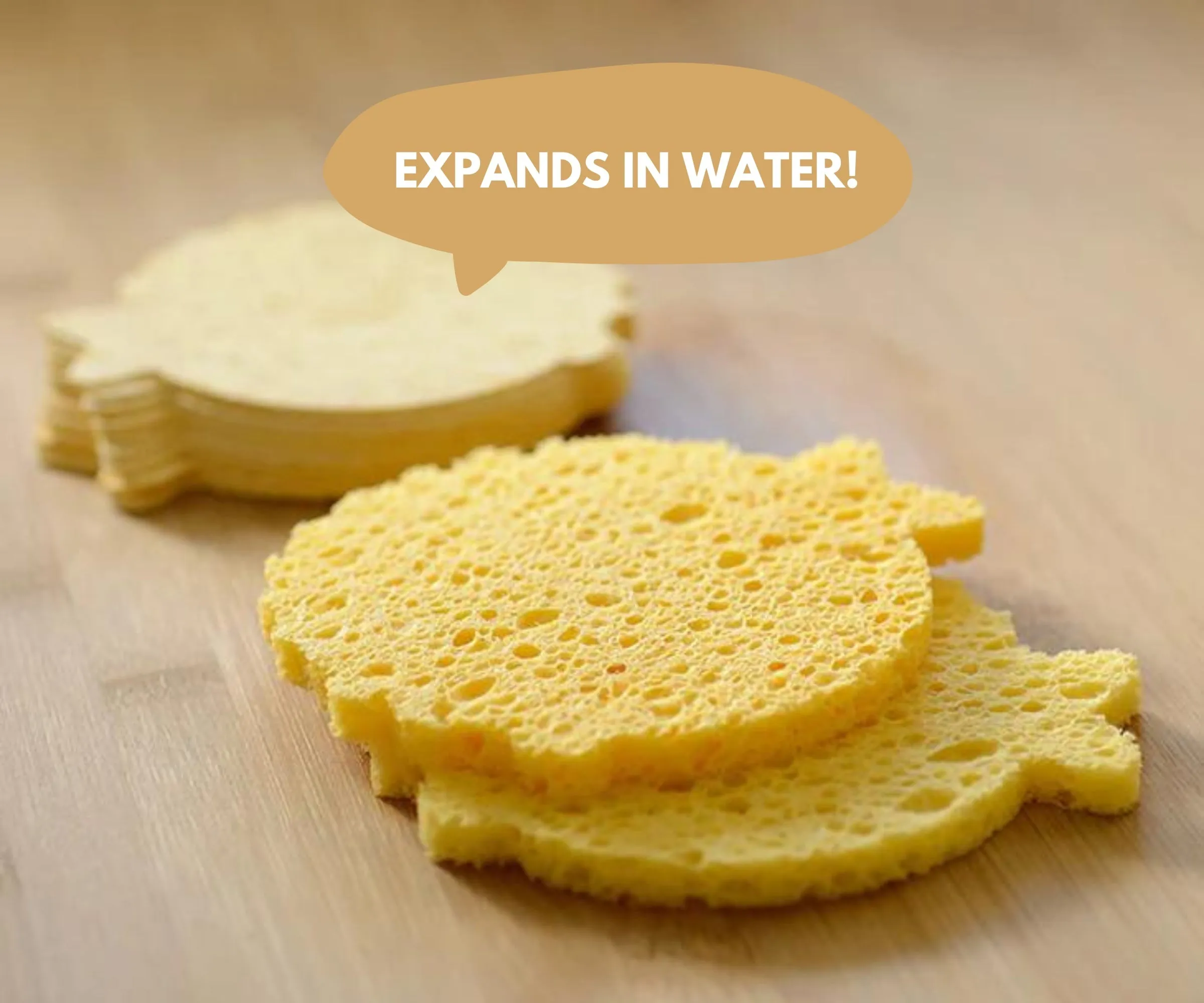 Biodegradable Sponges- 12 Pack