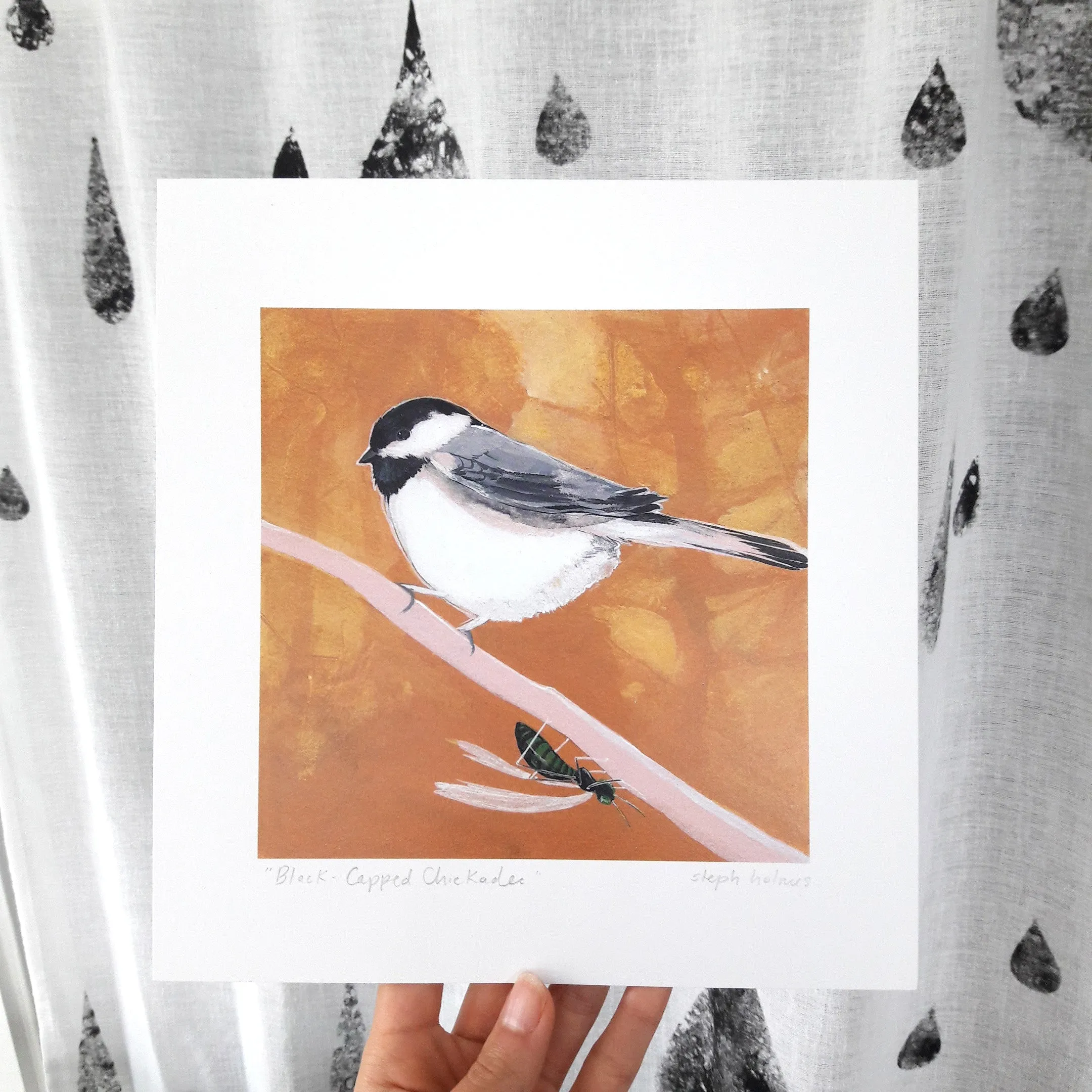 Black-Capped Chickadee print