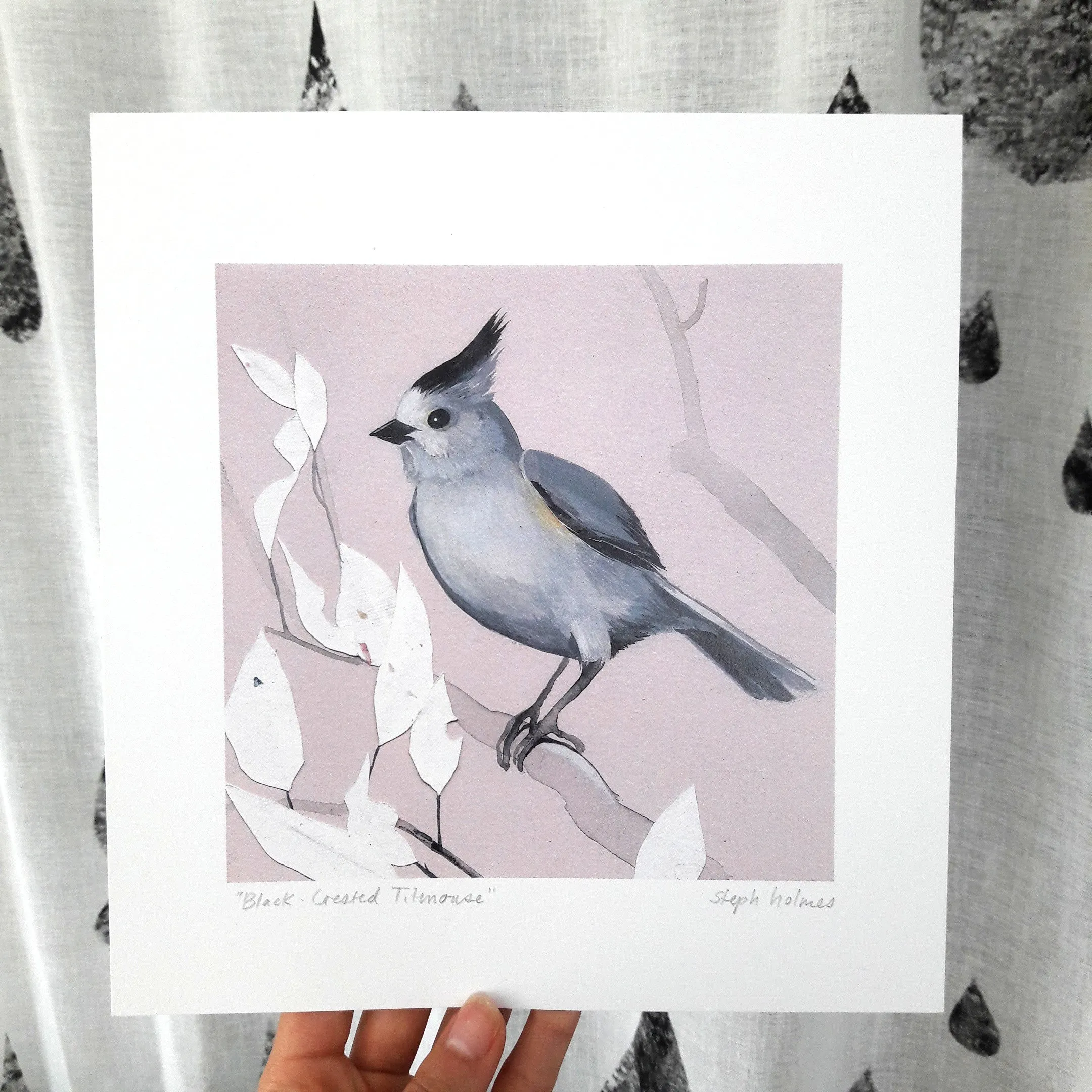 Black-Crested Titmouse print