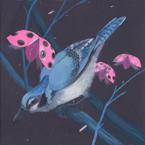 Blue Jay print