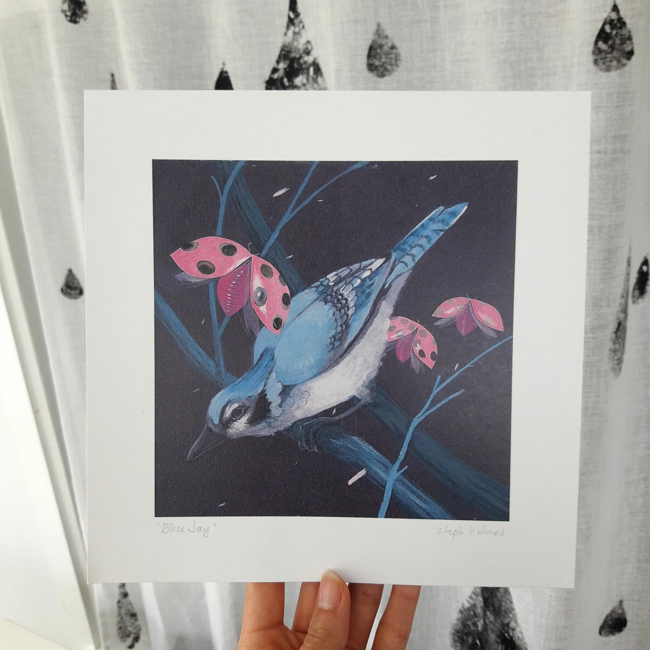 Blue Jay print