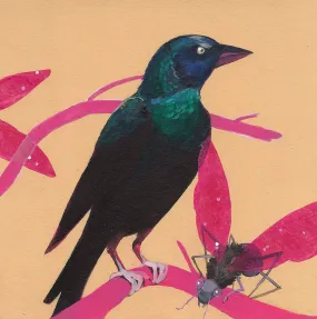 Common Grackle print