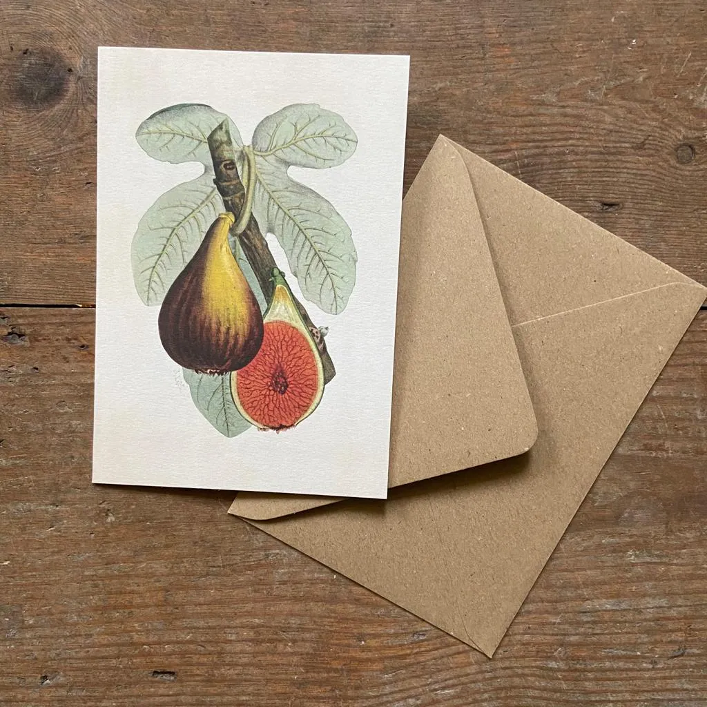 Fig Plant Greeting Card