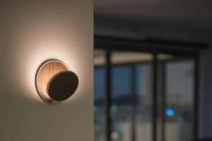 Gravy LED Wall Sconce