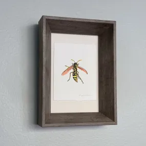 Hornet framed painting