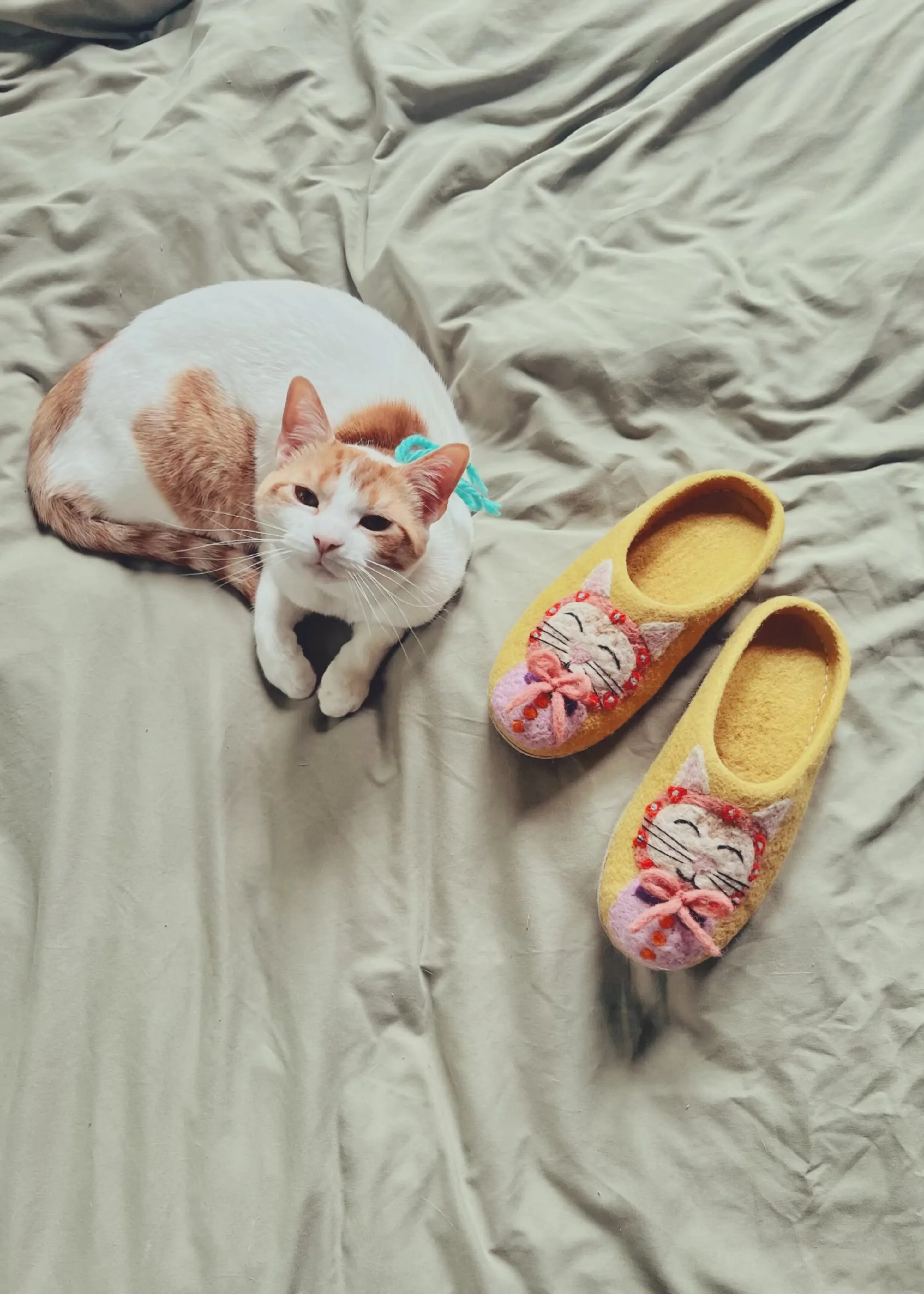 Kitty slippers