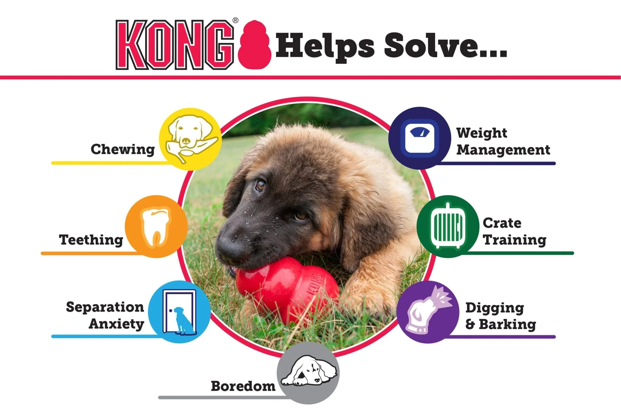 KONG Classic Dog Toy