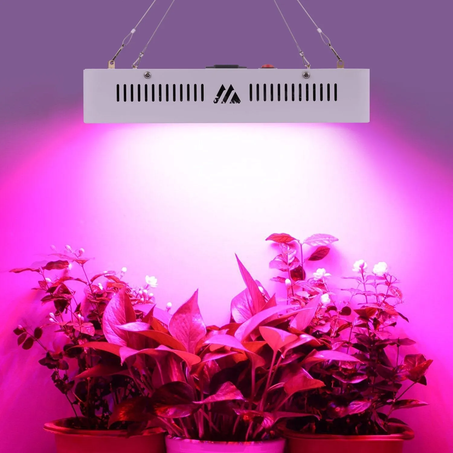 Morsen 2000W Double Chips LED Grow Light Full Spectrum 200x10W Grow Lamp for Greenhouse Hydroponic Indoor Plants Veg and Flower (10w LEDs)