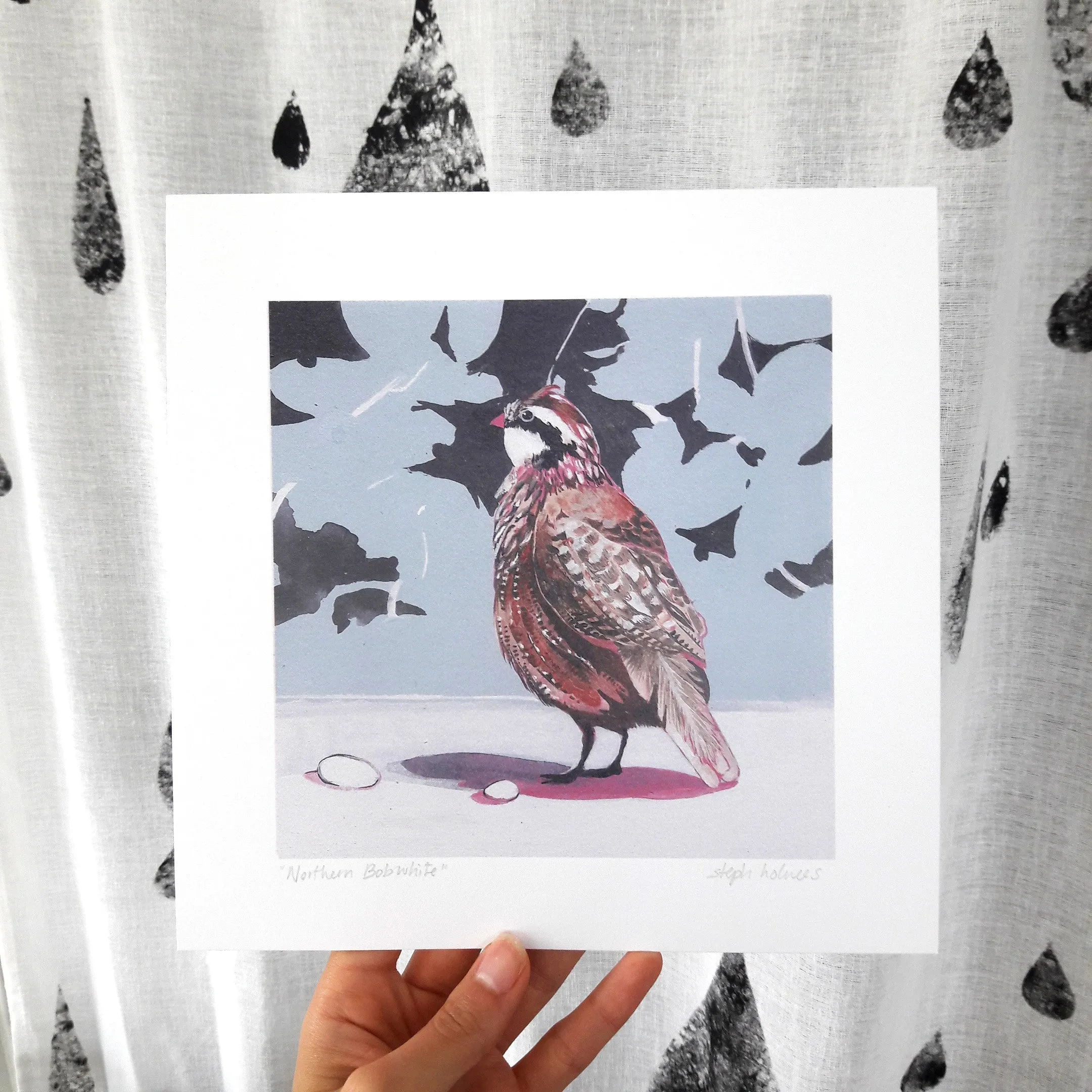 Northern Bobwhite print