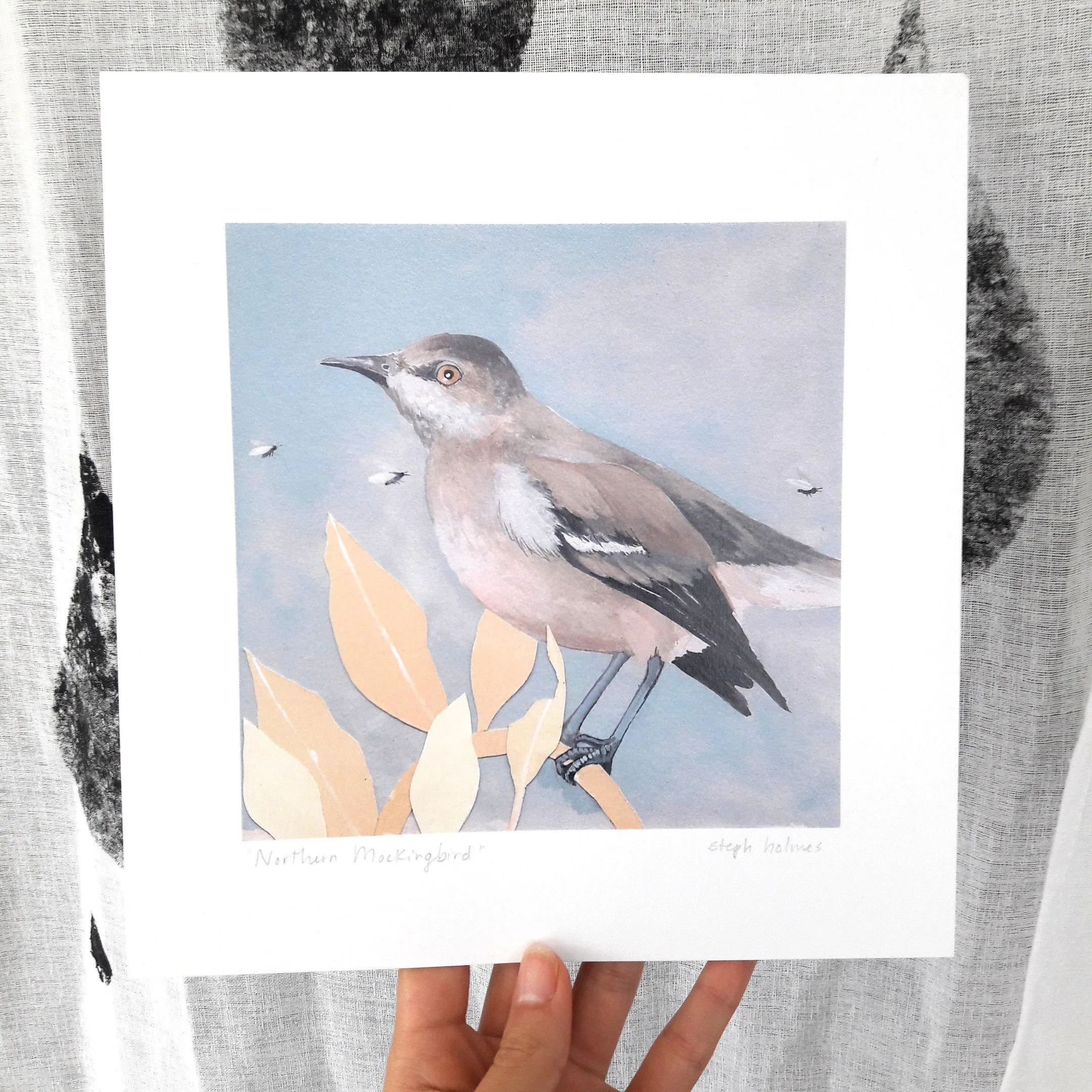 Northern Mockingbird print